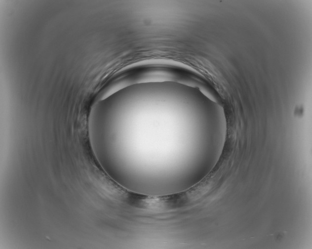 X0000092090425200709121516