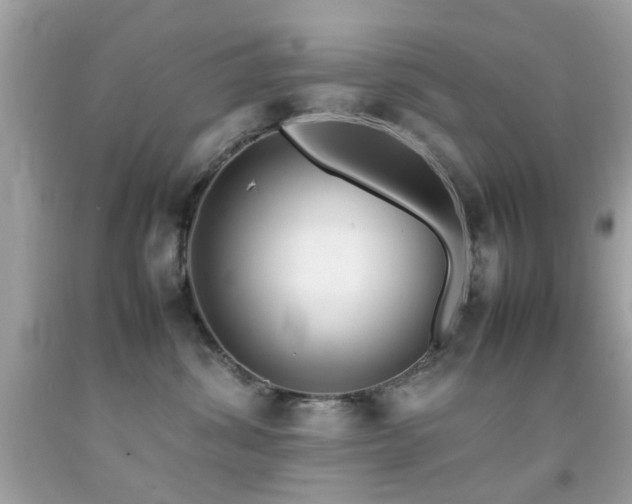 X0000092090428200709121516