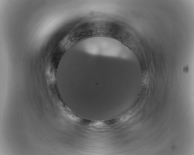 X0000092090431200709121516