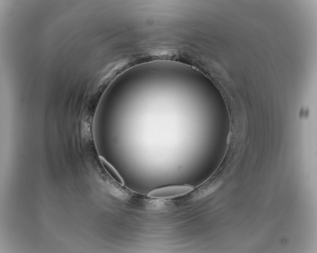 X0000092090432200709121516