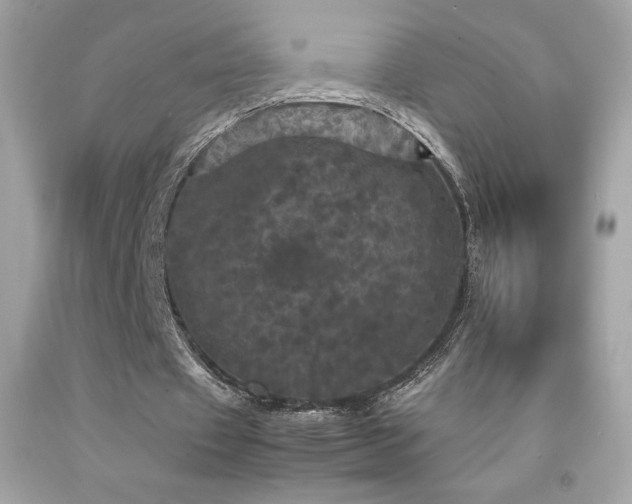 X0000092090433200709121515