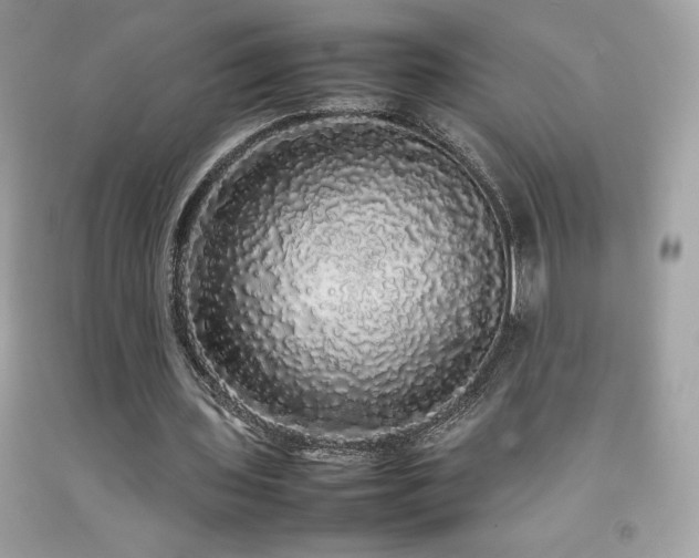 X0000092090435200709121515