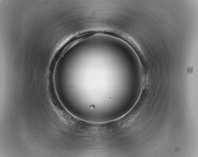 X0000092090436200709121516