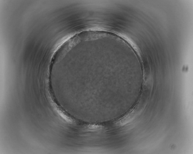 X0000092090437200709121516