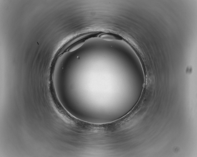 X0000092090438200709121516