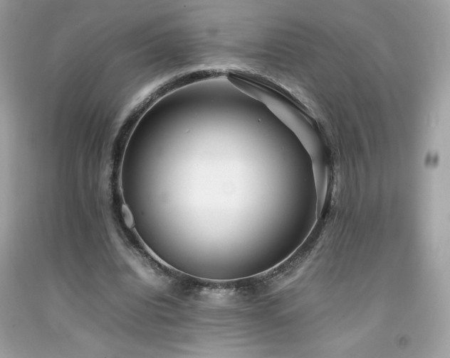 X0000092090440200709121516