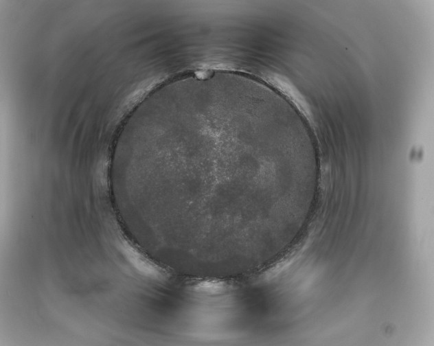 X0000092090441200709121516