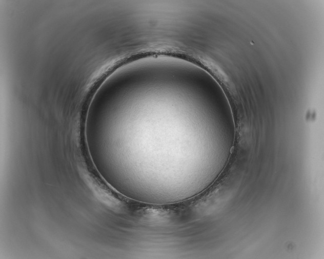 X0000092090442200709121516