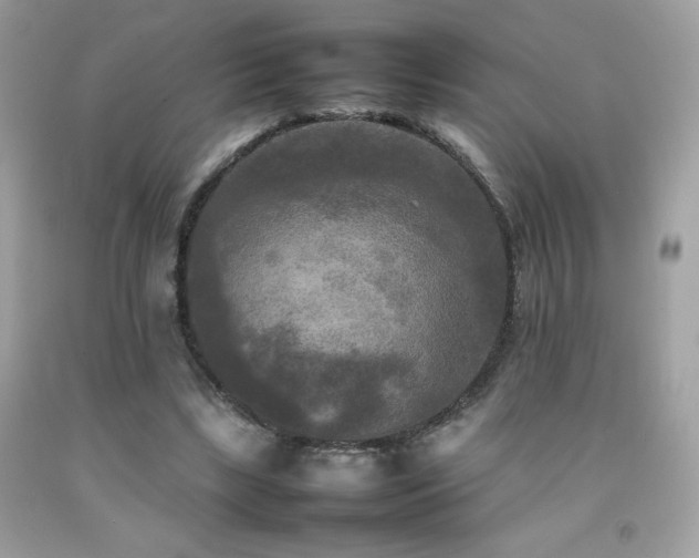 X0000092090443200709121516