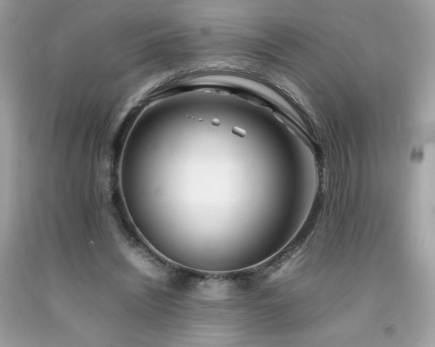 X0000092090444200709121516