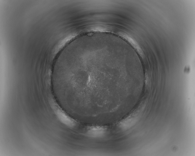 X0000092090445200709121516