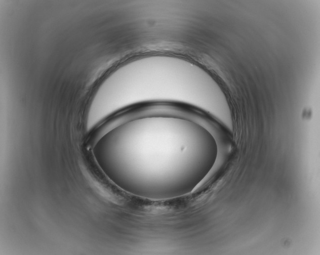 X0000092090448200709121516