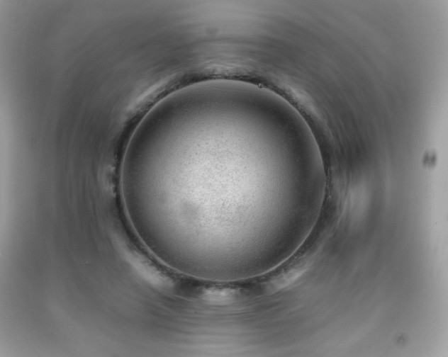 X0000092090450200709121516