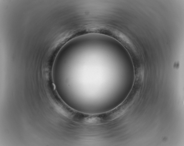 X0000092090452200709121516