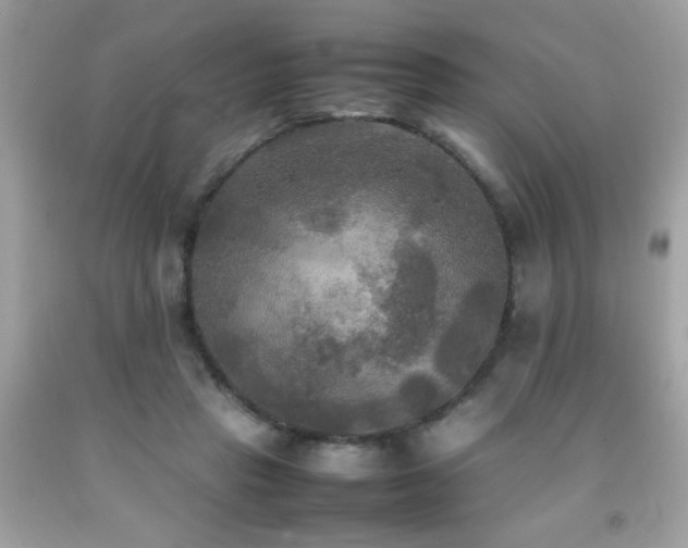 X0000092090453200709121516