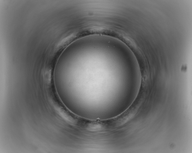 X0000092090454200709121516