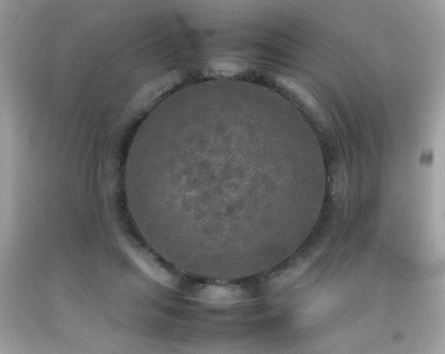 X0000092090455200709121516