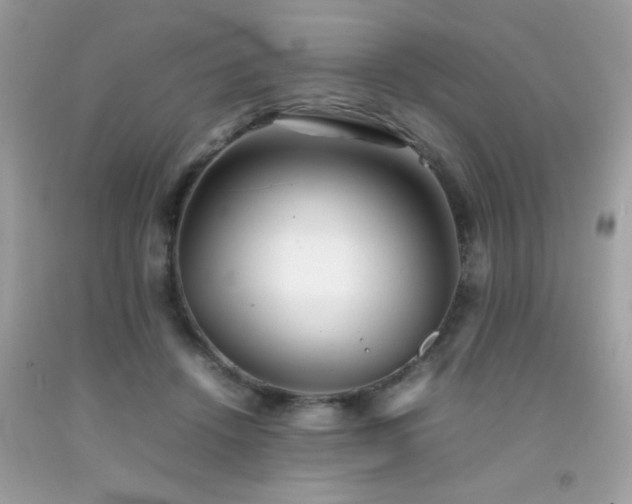 X0000092090456200709121516