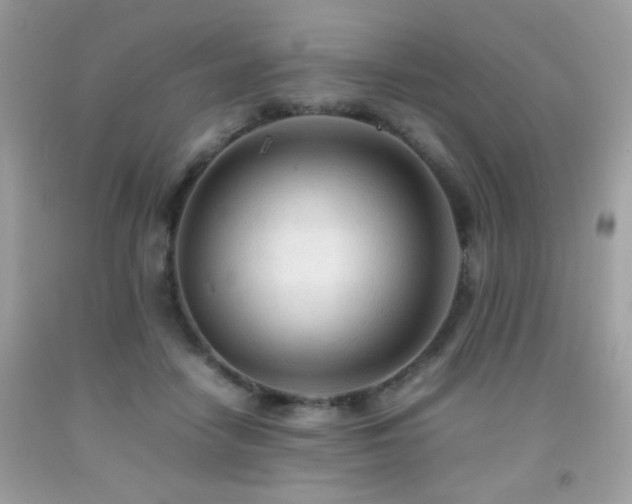 X0000092090458200709121516