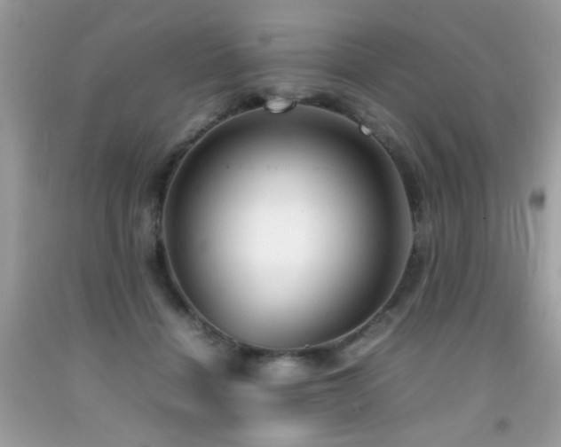 X0000092090460200709121516