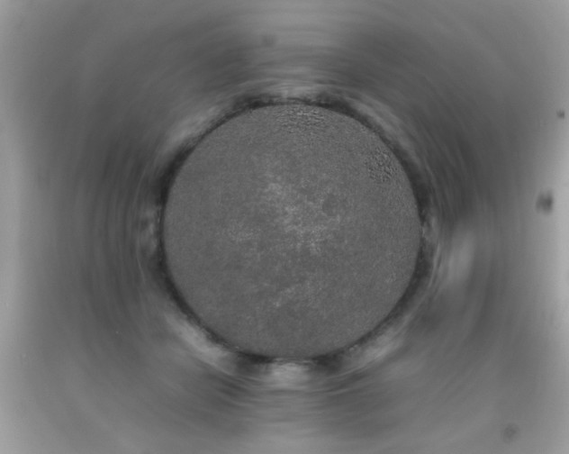 X0000092090462200709121516