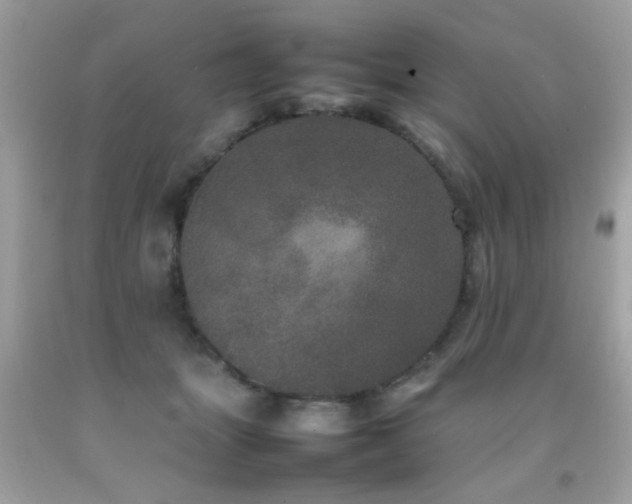 X0000092090463200709121516