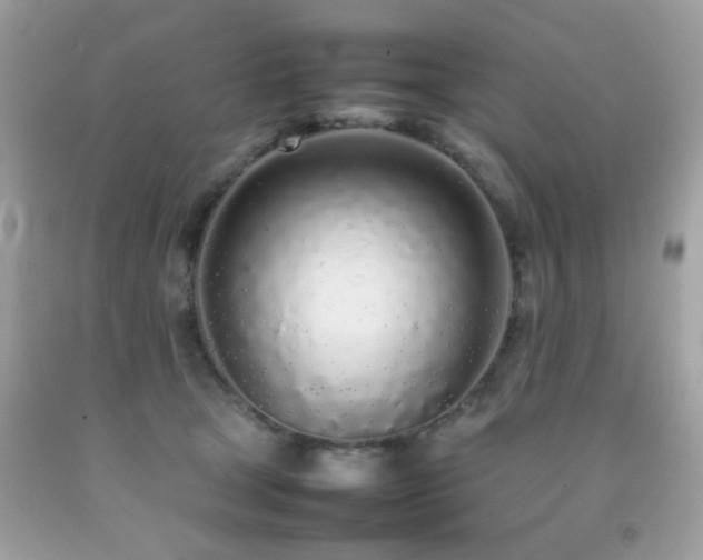 X0000092090465200709121516