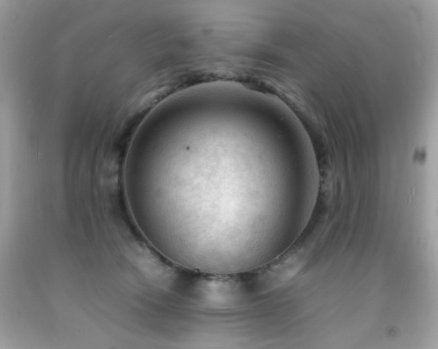 X0000092090466200709121516