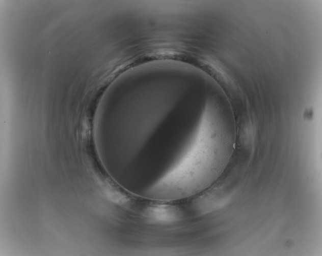 X0000092090467200709121516