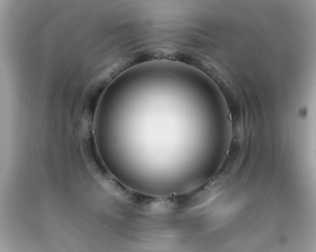 X0000092090468200709121516