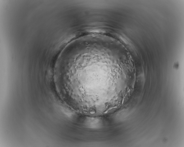 X0000092090469200709121516