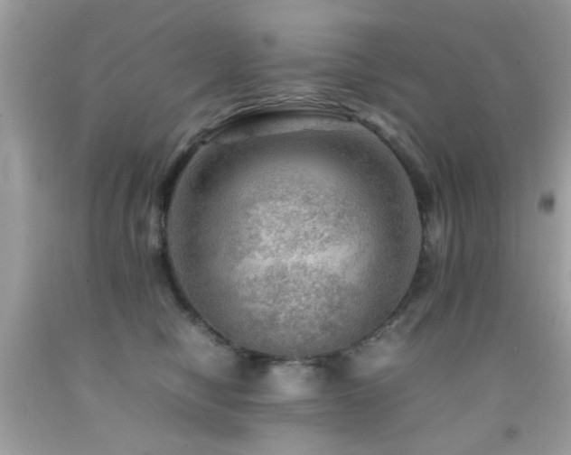 X0000092090470200709121516
