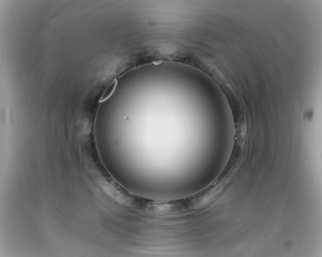 X0000092090472200709121516