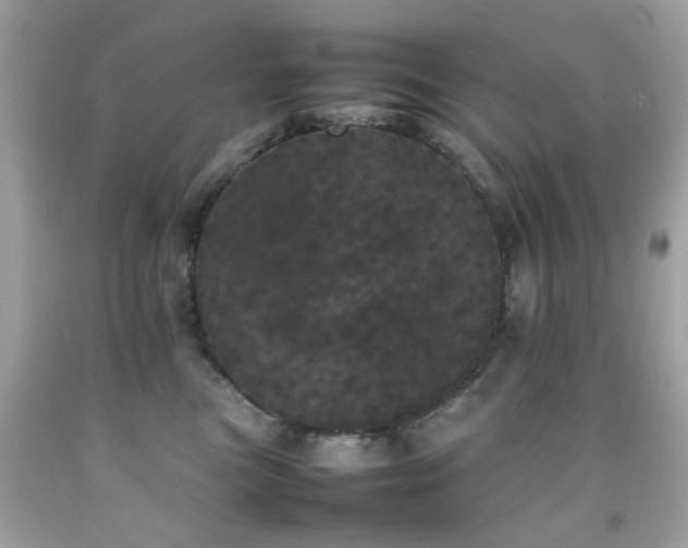 X0000092090473200709121516