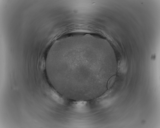 X0000092090474200709121516