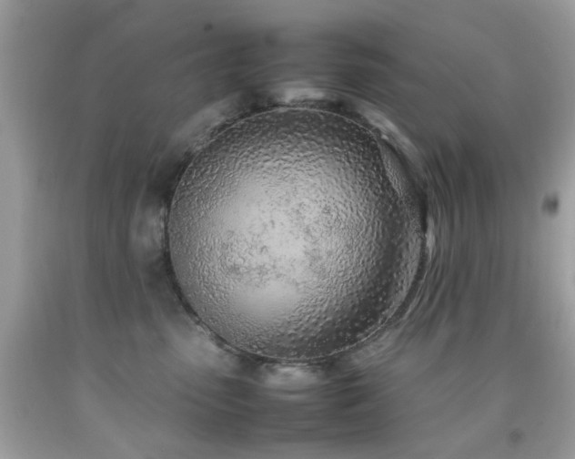 X0000092090475200709121516