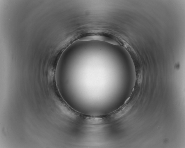 X0000092090476200709121516