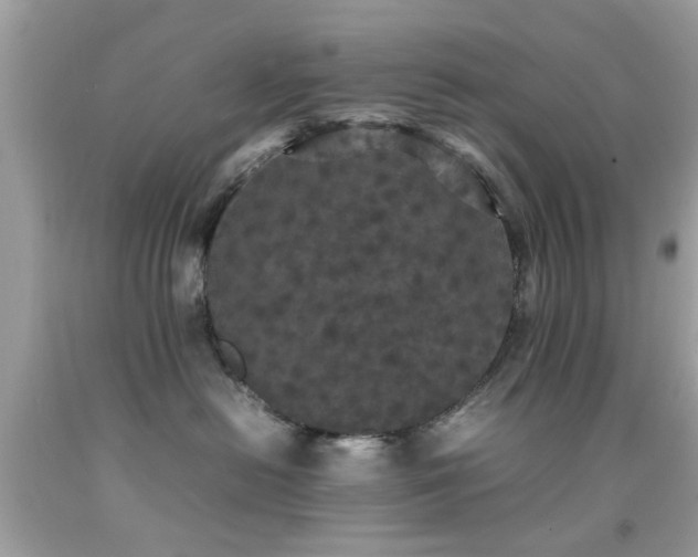 X0000092090478200709121516