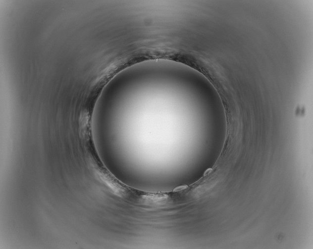 X0000092090480200709121516