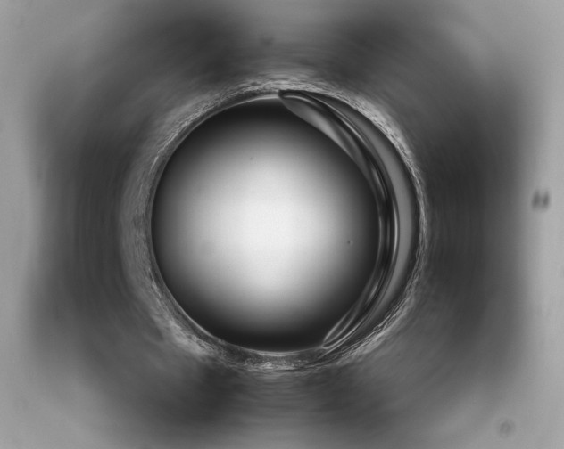 X0000092090481200709121515