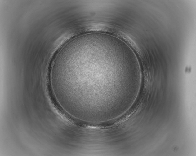 X0000092090482200709121515