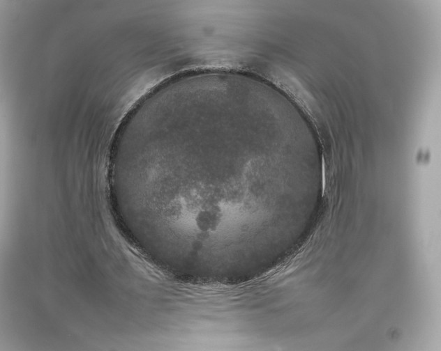 X0000092090483200709121515