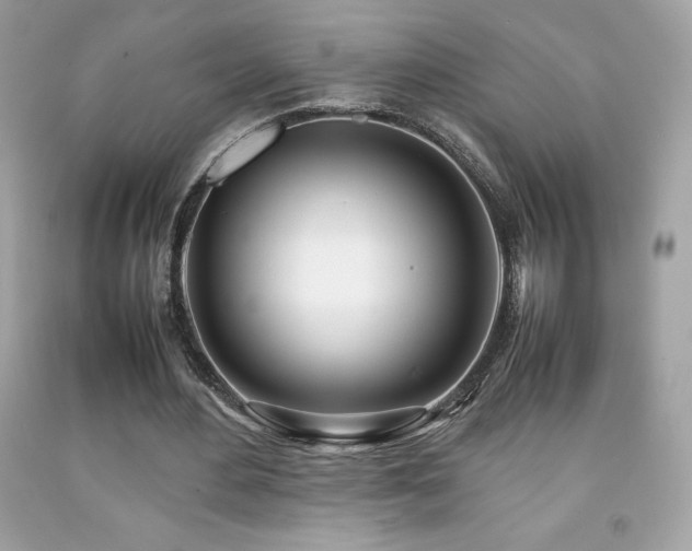X0000092090484200709121515