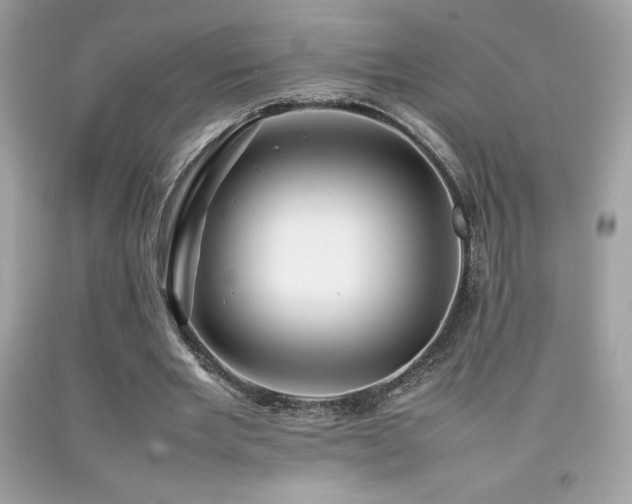 X0000092090485200709121515