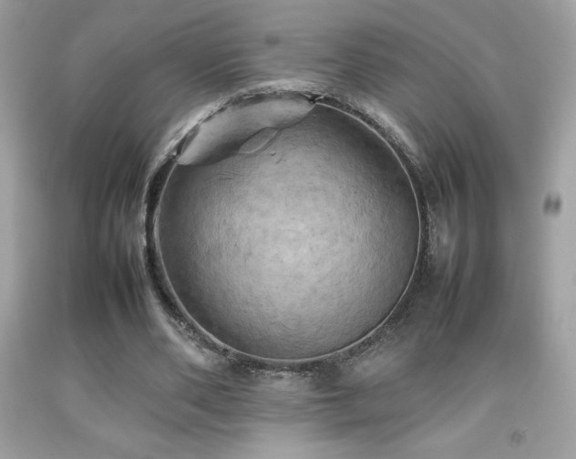 X0000092090486200709121515