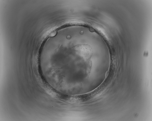 X0000092090487200709121515