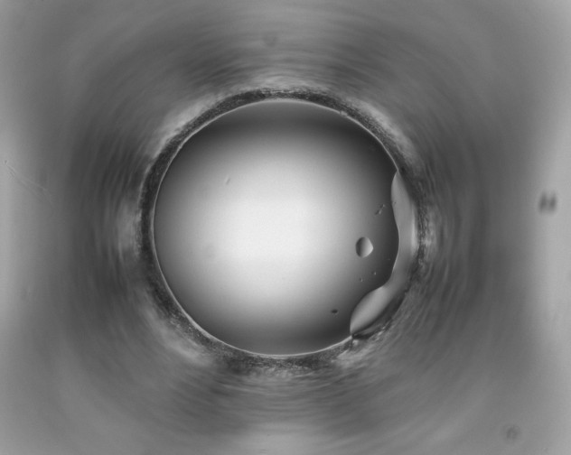 X0000092090488200709121515