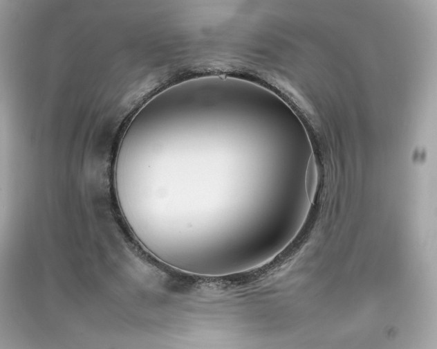 X0000092090489200709121515
