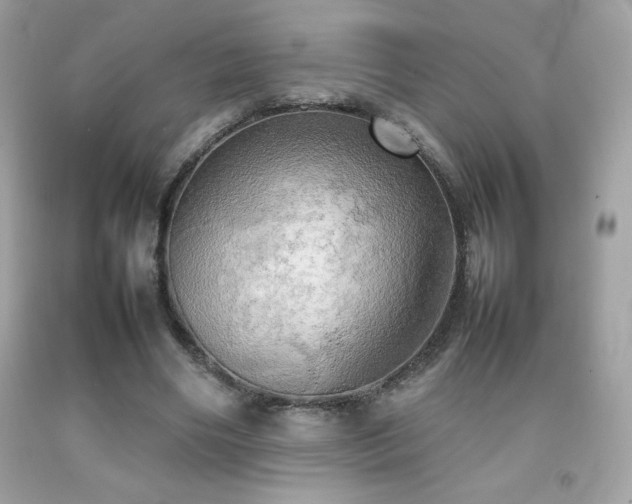 X0000092090490200709121515