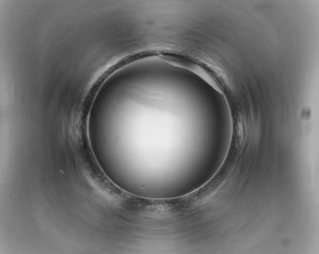 X0000092090492200709121515